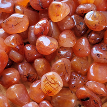 Load image into Gallery viewer, Carnelian Tumbled Gemstones - 0.5-0.75 inch
