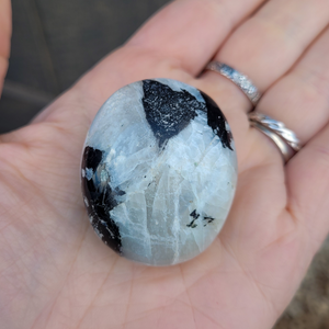 Rainbow Moonstone Palm Stone - 2 inch