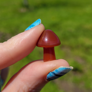 Mini Carnelian Mushroom - Crystal Mushroom