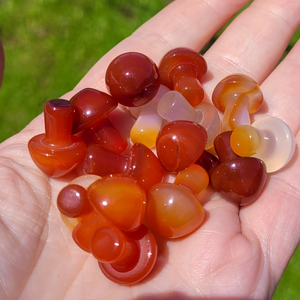 Mini Carnelian Mushroom - Crystal Mushroom