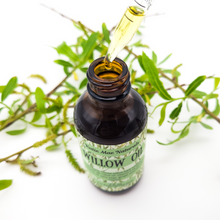 Load image into Gallery viewer, Willow Oil for Moon Magic - Ritual Oil - Massage Oil - Organic - Vegan
