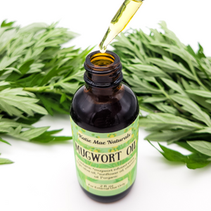 Mugwort herbal infused massage oil