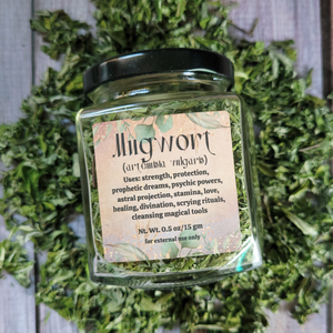 Organic dried mugwort leaf in apothecary jar 