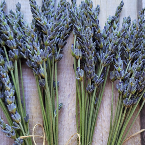 Organic dried lavender bundle