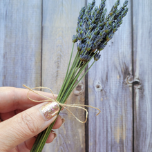 Load image into Gallery viewer, Mini Dried Lavender Bundle - 15 Stems Dried Lavender Flowers
