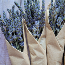 Load image into Gallery viewer, Small bundle of dried lavender stems
