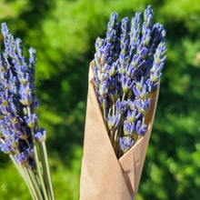 Load image into Gallery viewer, Dried lavender bundle
