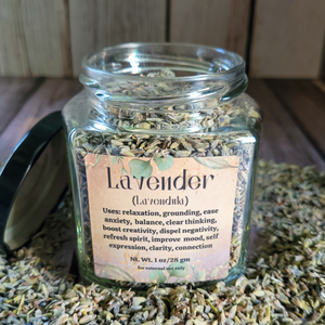 Apothecary jar of dried lavender flowers
