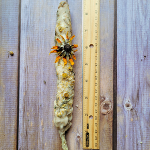 Mullein Torch - Hags Taper - Witches Candle