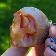 Load image into Gallery viewer, Carnelian Skull 2.5 inch - Carved Carnelian Gemstone Skull
