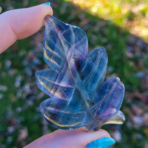 Rainbow Fluorite Leaf Carving - Rainbow Fluorite Crystal Leaf