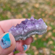 Load image into Gallery viewer, Small Amethyst Crystal Cluster - 1-2 inches
