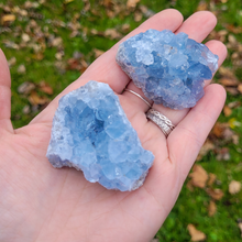 Load image into Gallery viewer, Celestite Geode Druzy Cluster - 2-3 inch
