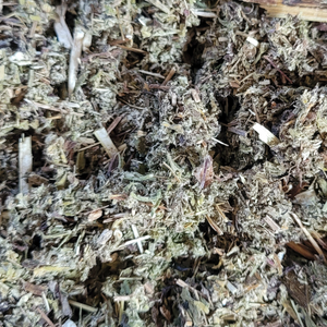 Organic dried mugwort 