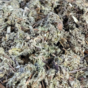Organic dried mugwort 