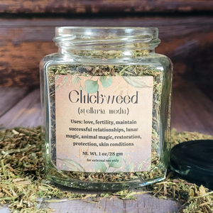Organic dried chickweed in Apothecary jar