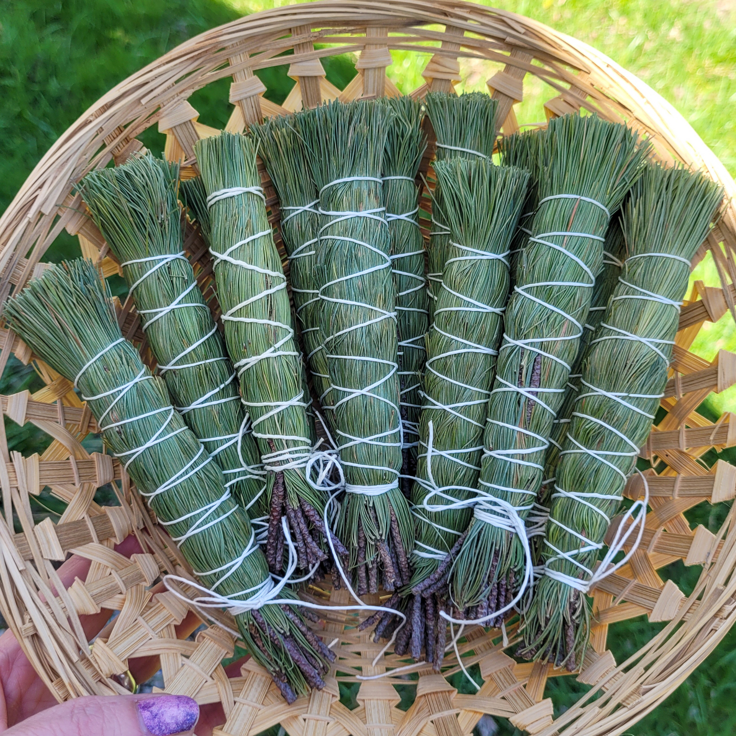 Pine needle smudge sticks